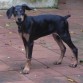 Con 2 meses y medio!